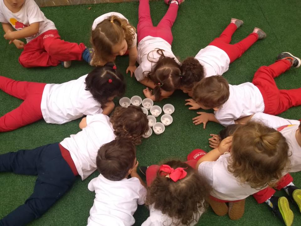 Projeto Tesouros da Natureza Dentro do Projeto Tesouros da Natureza, o Maternal II plantou feijão. Vivenciar experiências como esta, desperta a curiosidade e traz aprendizagens significativas às crianças 🌱