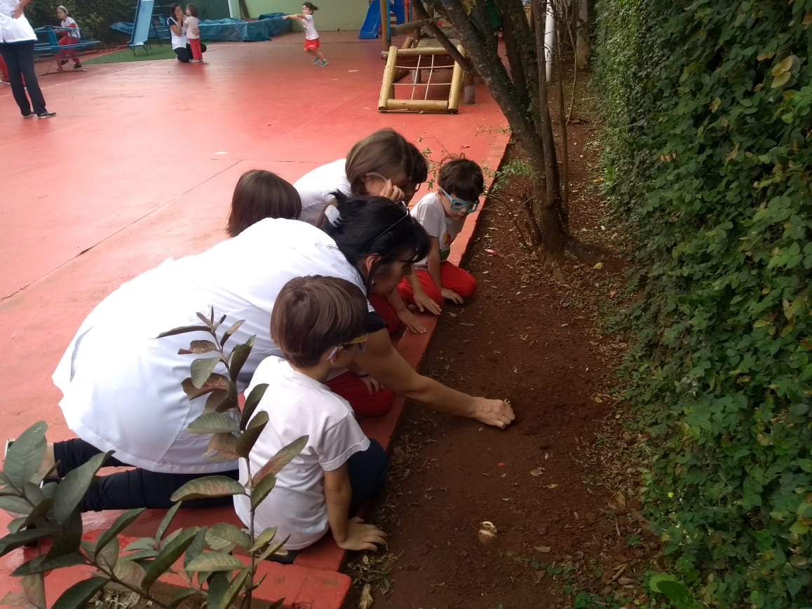 O Infantil III fez um tour pela escola observando os detalhes do meio ambiente: aprendizagem por meio de experiências 🌳