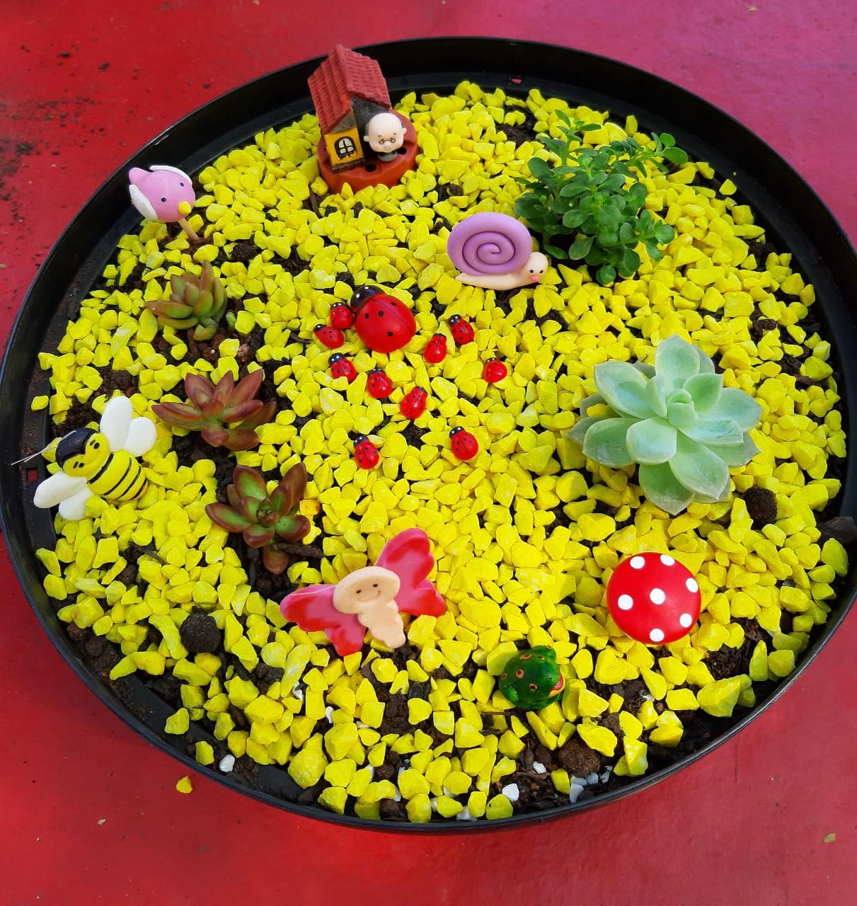 A confecção do mini jardim do Infantil I: “Meu jardim tem muitas flores! Nele a vida vida corre e voa, pula ,vibra e ri à toa!” Escolheram o vovô Augusto para tomar conta deste mini jardim repleto insetos e plantas suculentas! 🌸🌷🦋🐛